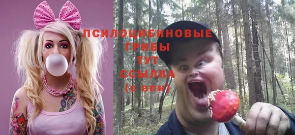 ПСИЛОЦИБИНОВЫЕ ГРИБЫ Алексин