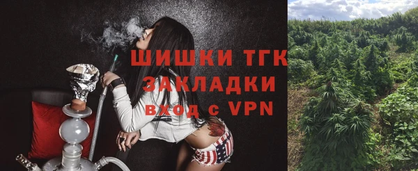 ПСИЛОЦИБИНОВЫЕ ГРИБЫ Алексин