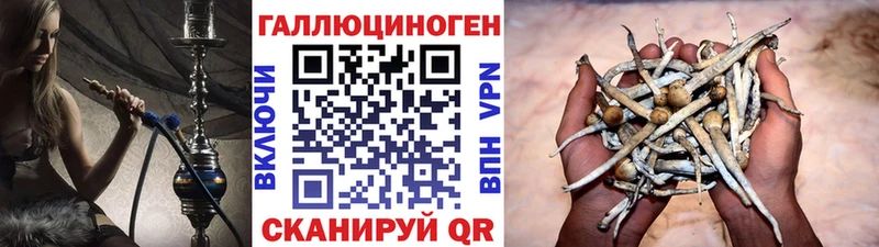 купить наркотики сайты  Нолинск  мега сайт  Псилоцибиновые грибы Cubensis 